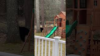 Curious Bear Plays on a Ninja Warrior Course in a Backyard
