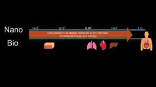 The Interface of Nanotechnology and Biotechnology