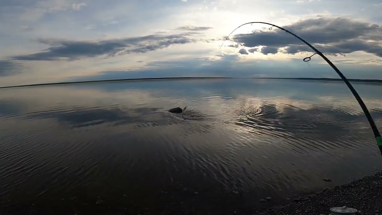 За хищником, рыбалка на Енисее часть 2. Fishing on the Yenisei #2