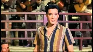 Elvis Presley - Marguerita 1963