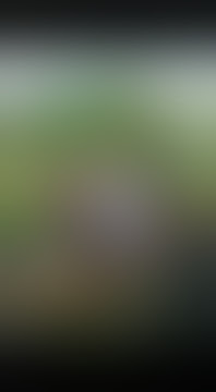 status wa Jokowi nyanyi