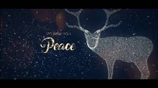 Christmas Greetings V - Openers | After Effect Template