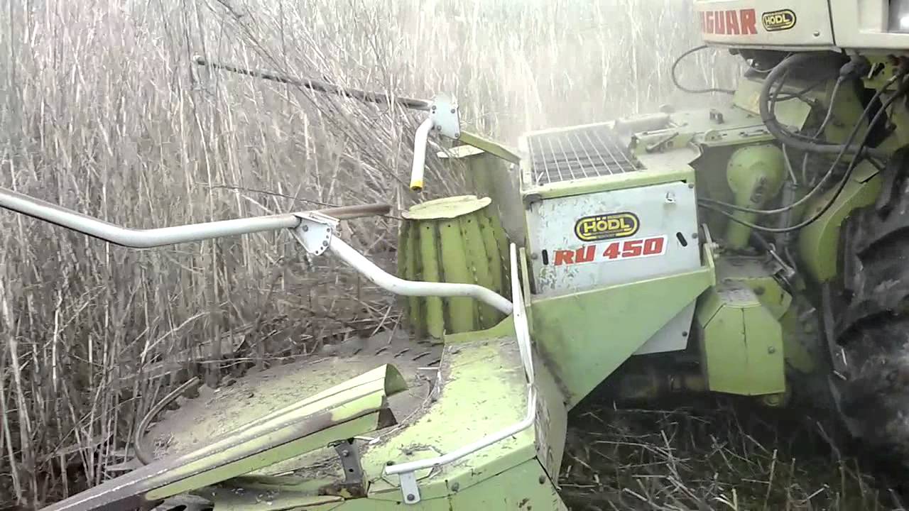 Claas Jaguar 840 - hemp harvesting