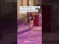 A Villa Scontrone (L'Aquila) un orso passeggia tra le giostre durante la festa del paese