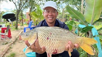 Săn Cá Chép Khủng Hồ Câu Cá Bể