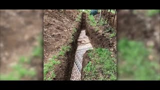 Preserved ancient Roman mosaic floor found in Italy