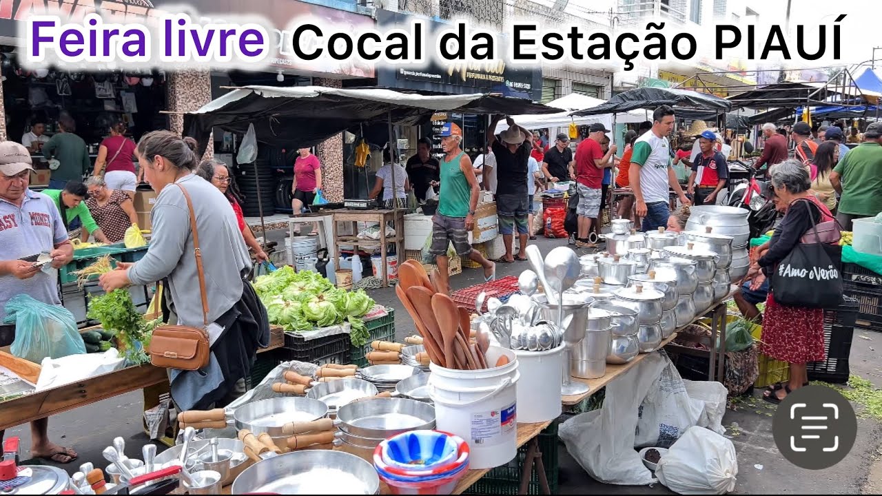VISITEI A FEIRA LIVRE NA CIDADE DE COCAL DA ESTAÇÃO NO PIAUÍ