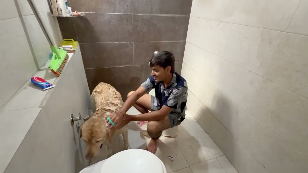 Simba Ka Bath Time 🐶😂 Aaj Bahut Masti Hui! | Daily Vlog– 46 |