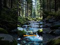 Nature Escapes: Reclaim Peace in the Great Outdoors #nature #healing #tranquility