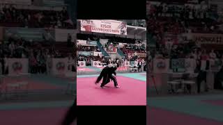 Хапкидо - Парный Фристайл Кубок Балтийского Моря 2023