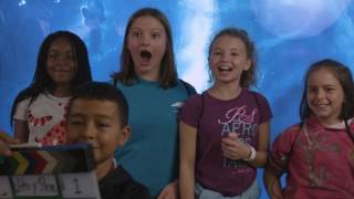US2020 RTP Arts n STEM Expo