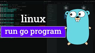 How to Build and Run a Go ( golang ) Program in Linux Operating System