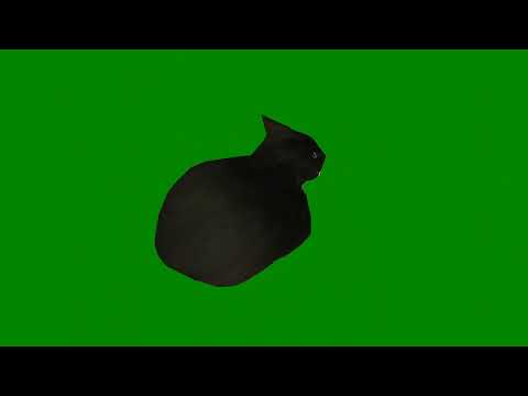 Maxwell The Cat Spinning Green Screen #viral #trending #memes #greenscreen #cat #catmemes #shorts
