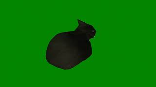 Maxwell The Cat Spinning Green Screen #viral #trending #memes #greenscreen #cat #catmemes #shorts