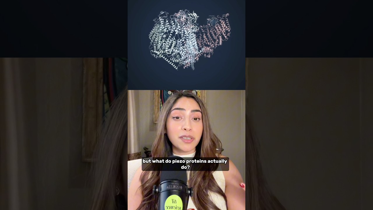 Scientists Found Our Actual Sixth Sense