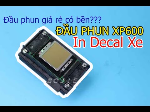 Video Thay Đầu Phun Xp600 - Decal Xe Có Sử Dụng Được Đầu... - youtube