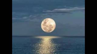 Galupasifika Moemisi