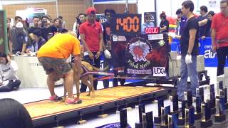 Pit Bull Weight Pull In Northern Thailand 1400Kg 2822015