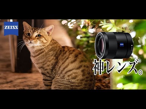 carl zeiss 55mm F1.8ZA SONYが誇る単焦点神レンズ！ ソニー 55mm F1.8】神レンズはやっぱり神。作例写真あり。ソニー