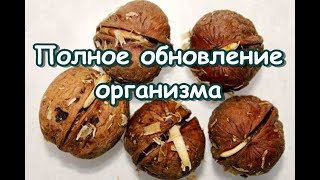 Полное обновление организма Полное обновление организма