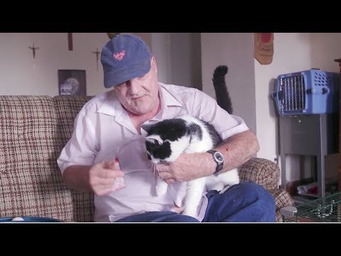 Video: Undersøgelse: Din hunds erfaringer Lad ham vide, om du er et godt menneske