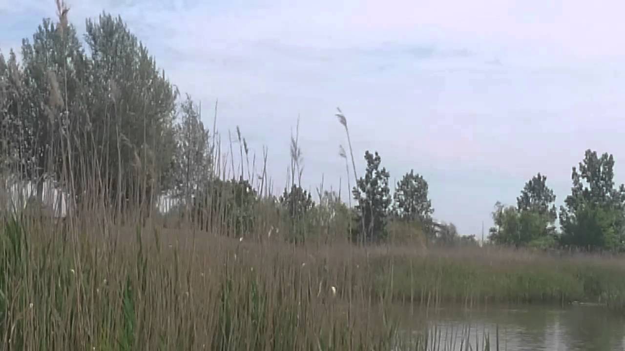 DAISER | DESTINY | Jumpstyle 2016