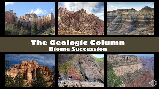 GC B10 Biome succession