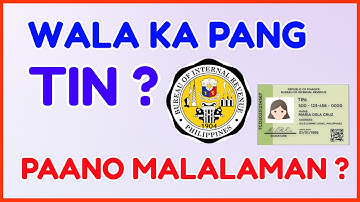 Hoe verifieer ik online dat ik geen TIN heb? Hoe kom ik erachter of ik een TIN-nummer heb?