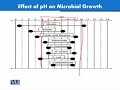 BT404 Food Biotechnology Lecture No 51