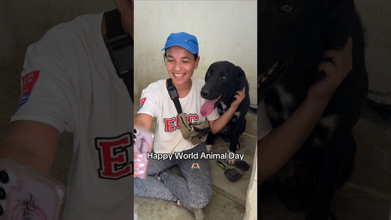 Happy World Animal Day from us & these cuties 🐾🦴🐶  