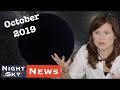 What if Planet 9 was a primordial black hole? Could we detect it? | Night Sky News October 2019