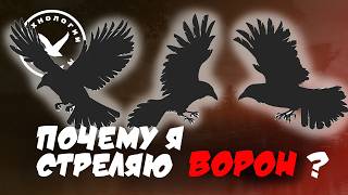 Почему я стреляю ворон ?