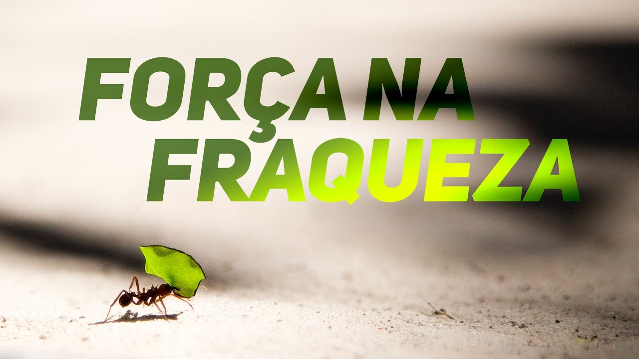 Força na Fraqueza / Pr. Novaes / 8 - YouTube