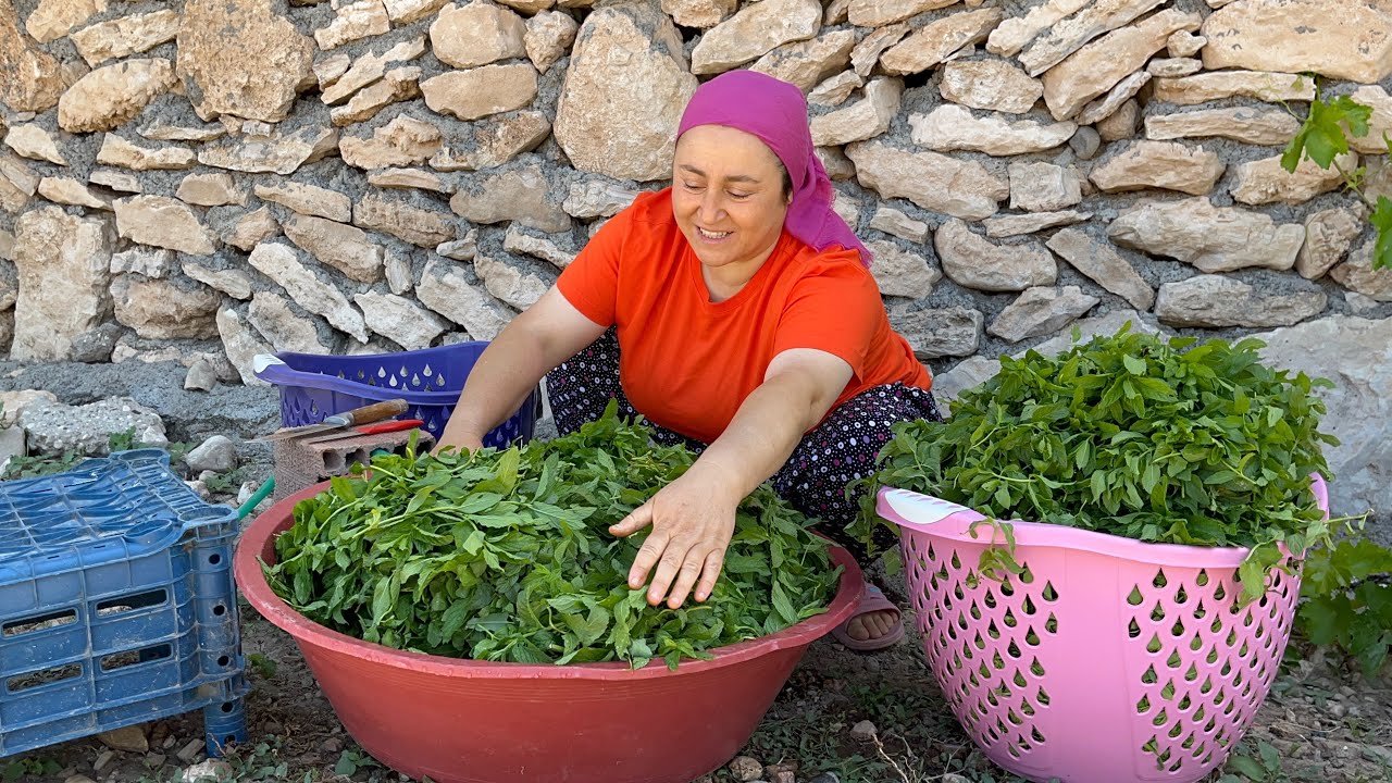 Rengini Bozmadan Nane Nasıl Kurutulur ~ Akşama Misafirlerim Var Neler Hazırladım Neler