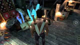 Dragon age 2 Skill bug
