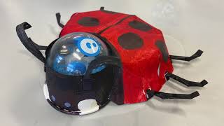 The Sphero Ladybird