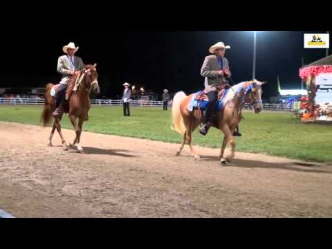 Missouri Fox Trotter World Grand Championship 3yr.Open 2015