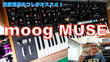 氏家克典のコレがオススメ！Vol.13 "moog MUSE"