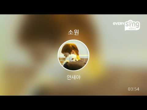 [everysing] 소원