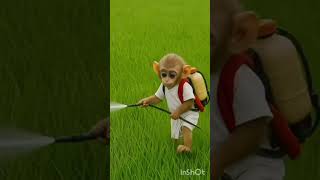 Poor and hard working monkey 🥲😭#story #shorts #tranding #viral #relatable