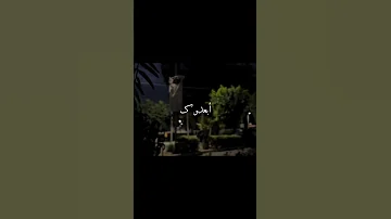 يشبعوا بك الصوتت بجنن اكسبلور بدون موسيقى ترند الاردن تصميمي تصميم 