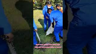 Terima Kasih Jpam Malaysia