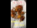 イソガニを素揚げにして食べてみた⁉