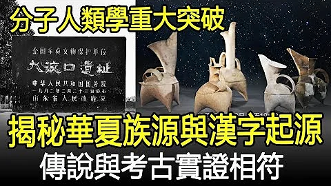 分子人類學重大突破！大汶口文化揭秘華夏族源與漢字起源，傳說與考古實證相符！#大汶口文化#華夏#漢字#考古#奇聞#文物#風雲史記 - 天天要聞