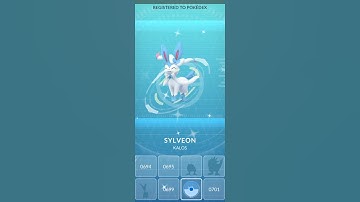 Eevee Community Day Recap! #pokemon