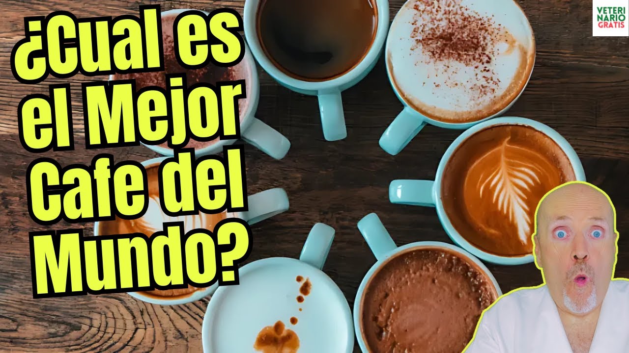 ¿CUÁL ES EL MEJOR CAFÉ DEL MUNDO? SEGÚN 3 TIPOS DE CRITERIOS ☕🌍💎