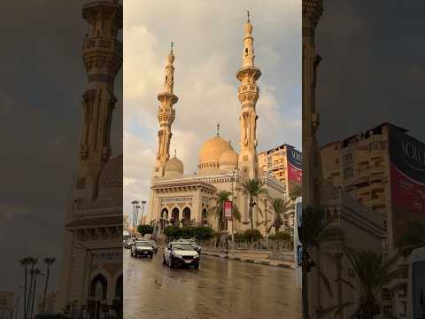 Where To Eat In Mansoura 