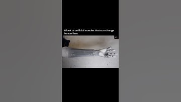 These artificial muscles are so real😮🔥 #shorts #ai  #bionics