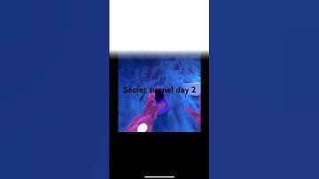 Doing secret tunnel til 1k day 2 #vr #meta #gorillatag #oculus #gtag #gorillatagfun #gorillatagjuke