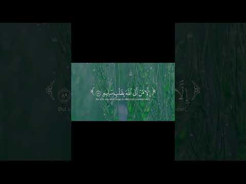 واجعلني من ورثة جنة النعيم القارئ ياسر الدوسري قرآن ياسر الدوسري قران كريم راحة نفسية 